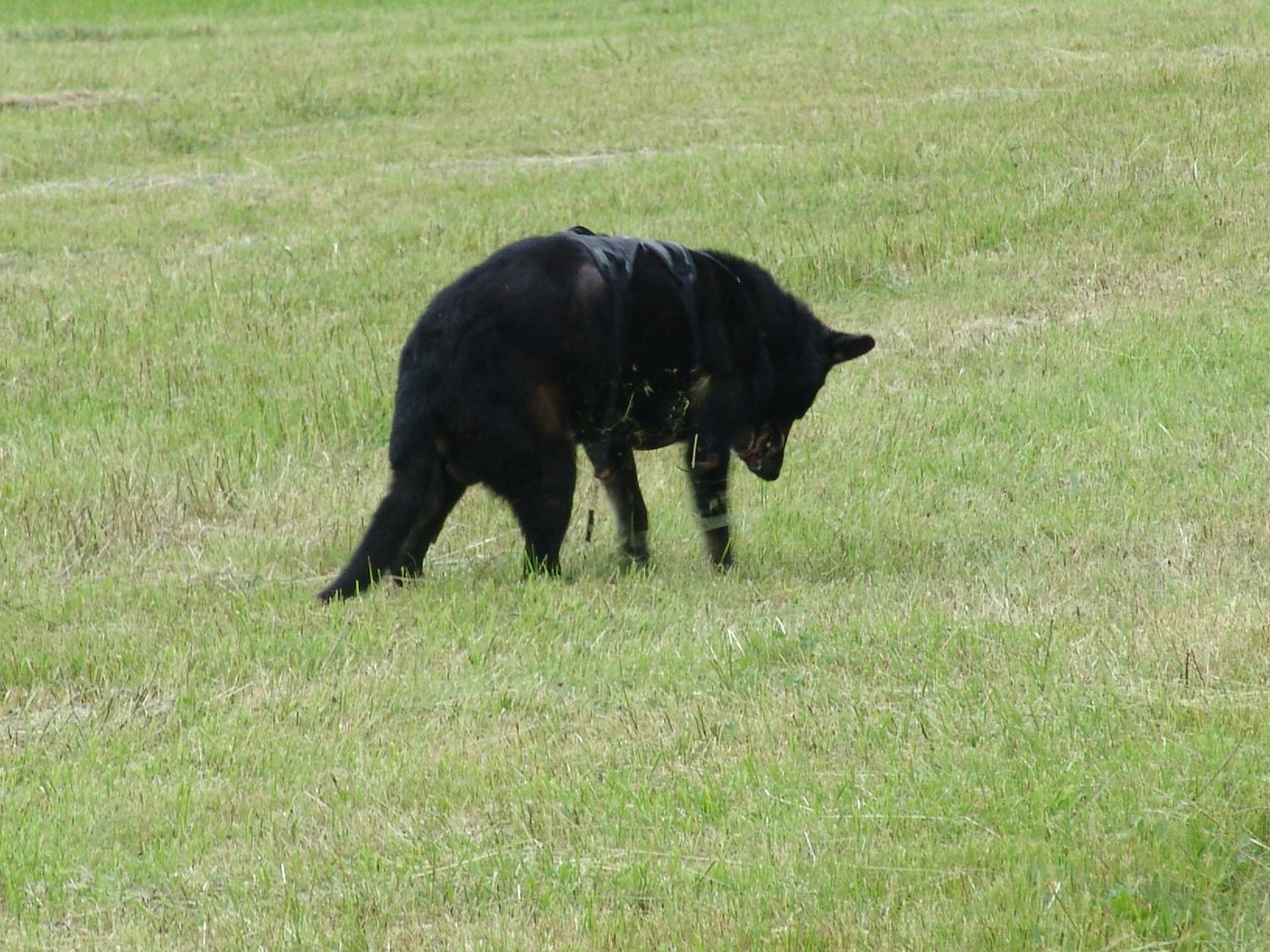 Alles hat seine Zeit