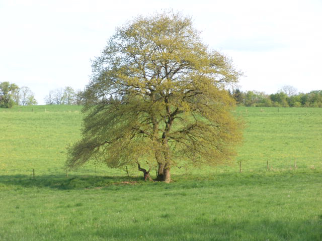 Hintergrundbild